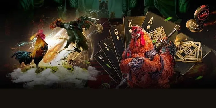 Tham Gia Đá Gà 33WIN Ngay Hôm Nay Để Thắng Lớn
