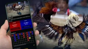 Khám Phá Thế Giới Đá Gà Sabong Tại 33WIN
