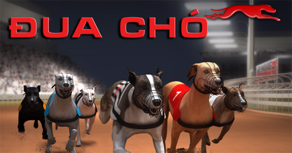 Tham Gia Đua Chó 33WIN: Bí Quyết Chinh Phục Tốc Độ
