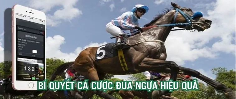 Khám Phá Thế Giới Cá Cược Đua Ngựa 33WIN Ngay Hôm Nay