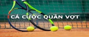 Tham Gia Ngay Sảnh Cá Cược Quần Vợt 33WIN Hấp Dẫn